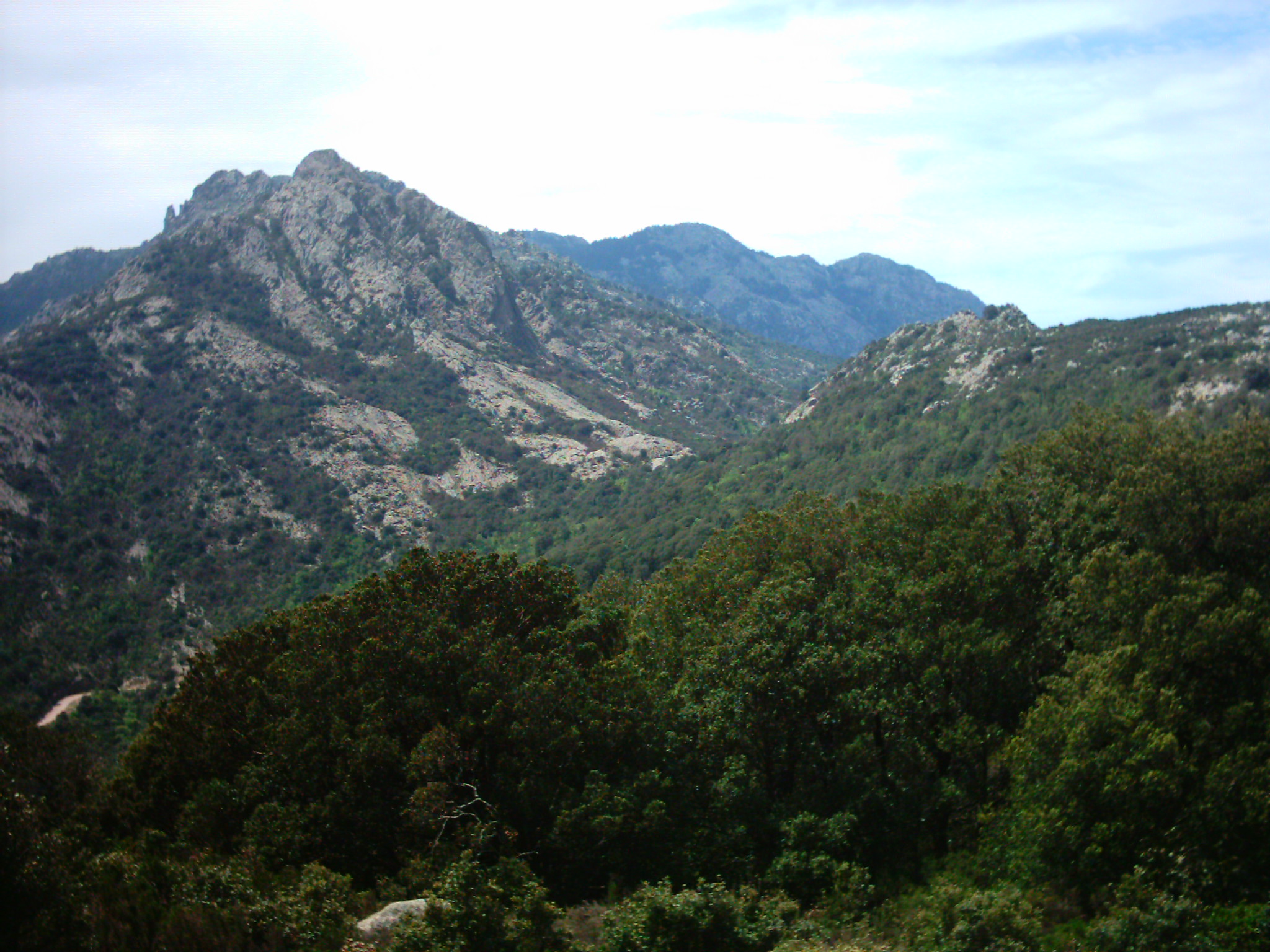 The Mountains surrounding Zonza